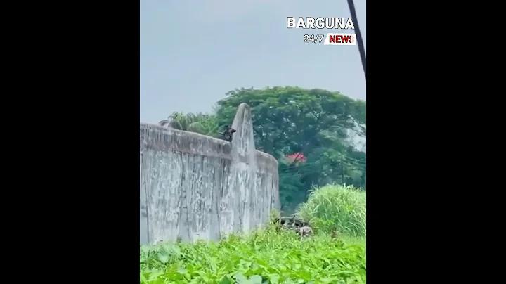 প৬