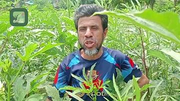 লাও লটারি কী নম্বর এসেছে?