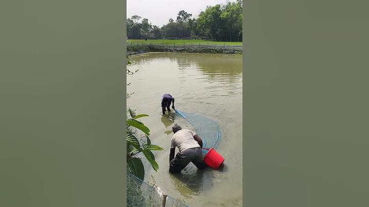 মেগা ক্যাসিনো ওয়ার্ল্ড সর্বশেষ প্রচার, বোনাস অফার এবং