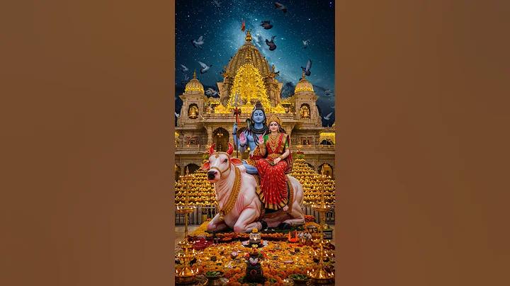 বর্তমান বিশ্ব সুন্দরীর ছবি