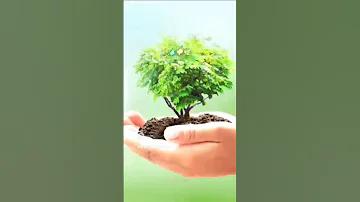 উনিশ শতকে বিজ্ঞান শিক্ষার বিকাশ কিরূপ ছিল