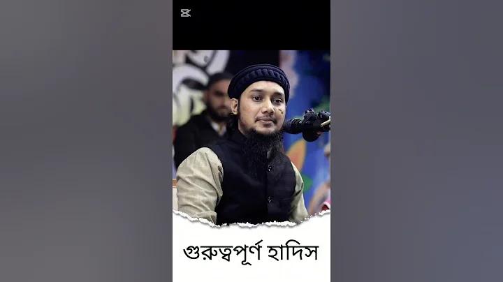 বেলজিয়াম ভিসা স্কটল্যান্ড ক্সি লাইভ স্কোর