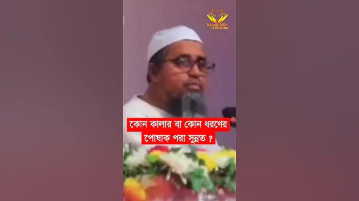 বাজি লাইভ সম্পর্কে