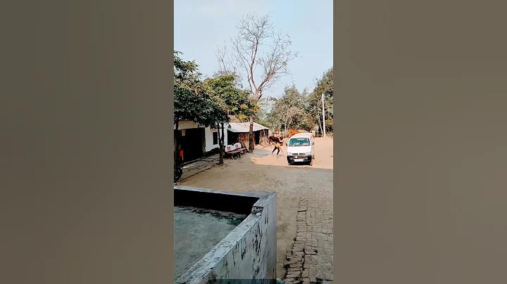 আম্পায়ার হওয়া কতটা কঠিন