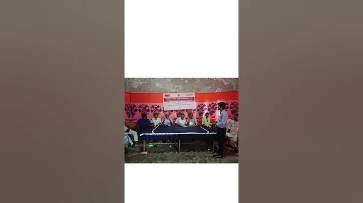 www.bajilive.net