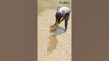 চ্যানেল888 ফ্রি ক্রেডিট