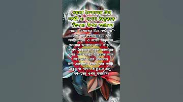 বিবাহ ভোজপুরি