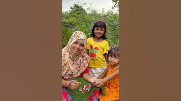 1xbet telegram channel bangladesh