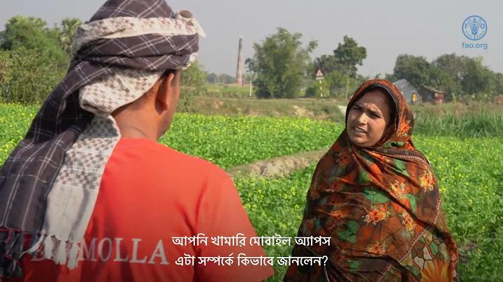 বৃহস্পতিবারের লটারির পরিসংখ্যান