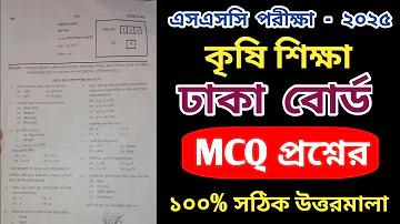 বাজি লাইভ চ্যাট