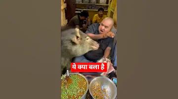 বিফল লাইভ ভিডিও ট২৫