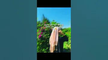 অস্ট্রেলিয়া বনাম ইংল্যান্ড লাইভ স্কোর