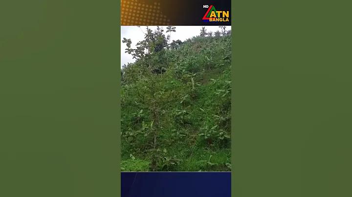 গানের বিনোদন