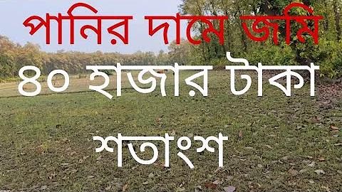 most paly