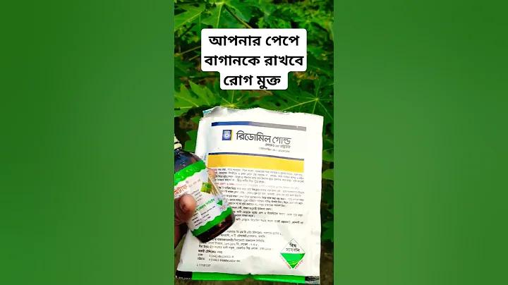 prepaid