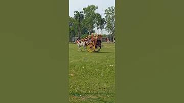 বল থাইল্যান্ড u17 আজ সরাসরি সম্প্রচার