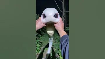 প্যান্টিপে লটারি বুকিং করার পদ্ধতি