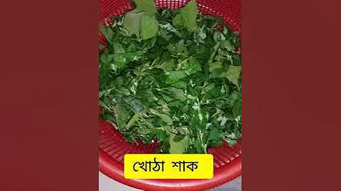 বিবিসি বাংলা নিউস লাইভ