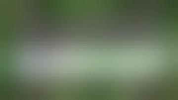 গাজীপুর সিটি নির্বাচনের ফলাফল লাইভ
