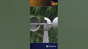 ২০২ক্রিকেট বিশ্বকাপ ফাইনাল