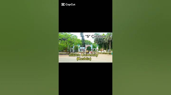 স্লট মেশিন স্কোর অডস তুলনা