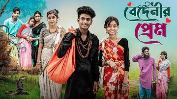 গুগল আর্থ লাইভ