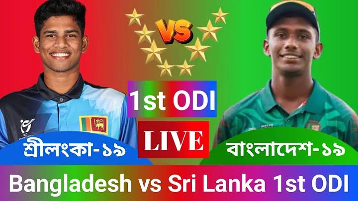 ফিলিস্তিনের যুদ্ধের খবর