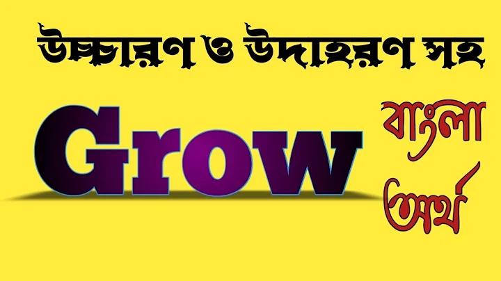 জাপানে উচ্চশিক্ষা ও চাকরি