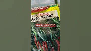 বিশ্ব রাজনীতিতে ঠান্ডা যুদ্ধের প্রভাব