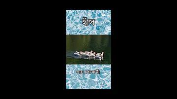 জিমেইল লগইন বিভিন্ন ব্যবহারকারী