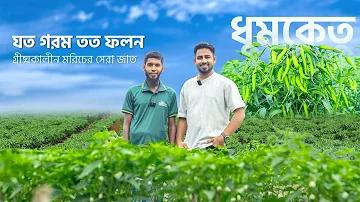 ছুটে আয় পুজোর গন্ধ এসেছে