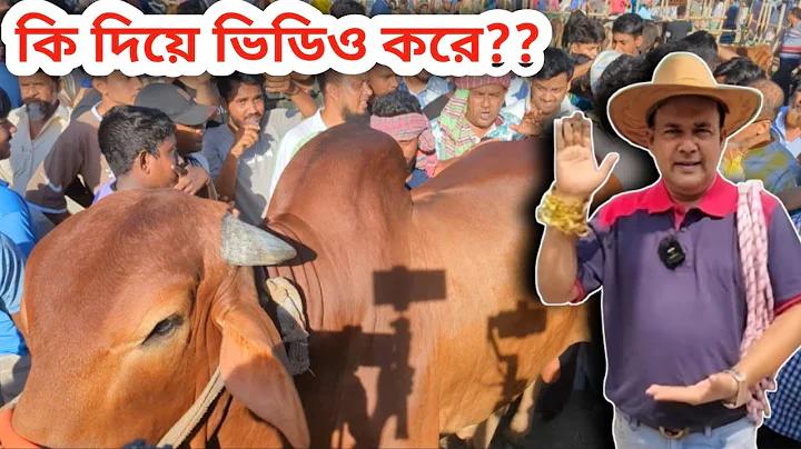 six6s login bangladesh