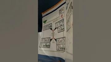 বিপিএল লাইভ খেলা 2022