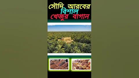 লটারি লটারি ভিআইপি