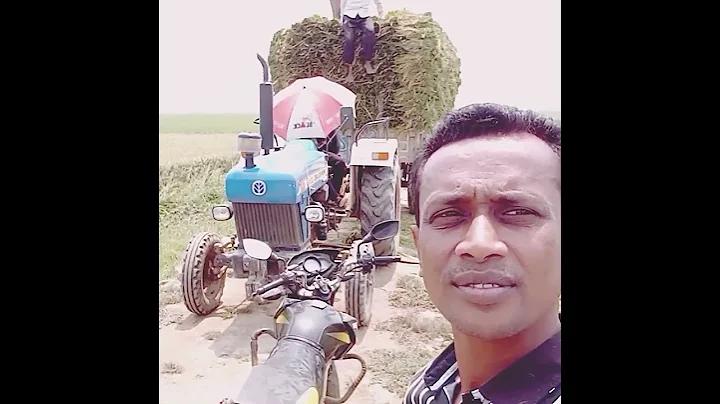 সরকারী লটারী পেছনের