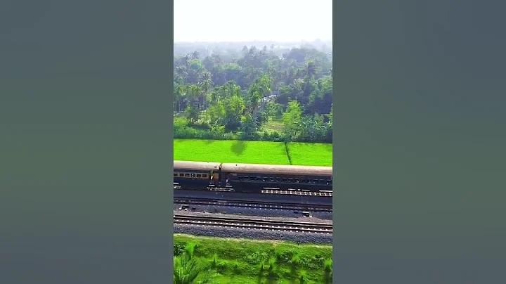 স্কট ওল্ফ রিজ