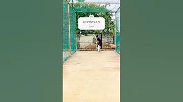 দুবাই ১ টাকা বাংলাদেশের কত টাকা ২০২৩