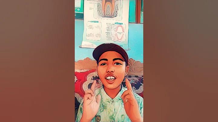 ফুটবল আজ