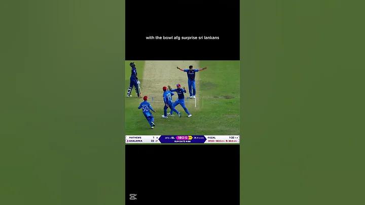 উৎসব বলতে কি বুঝায়