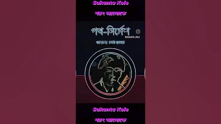 ক্যাসিন কি