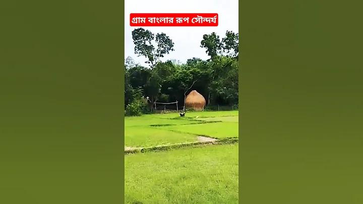 ভারত নেদারল্যান্ডস ক্রিকেট ম্যাচ