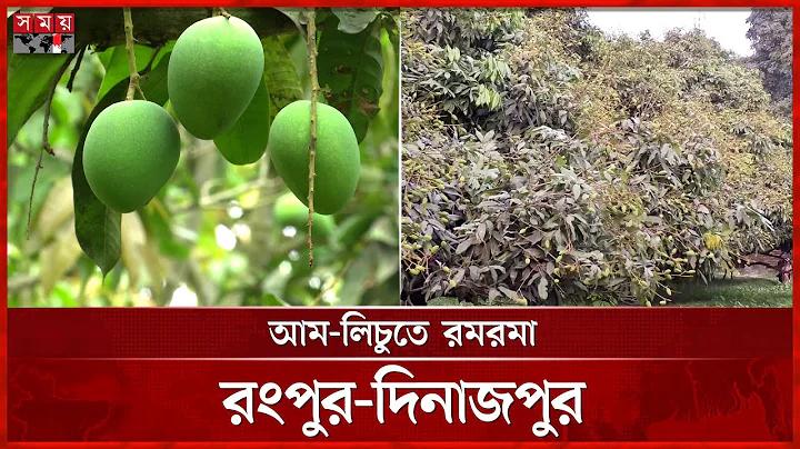 ফলাফল পেছনে