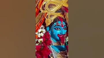 নিউজ বাংলা লাইভ