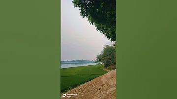 ছাত্র বিষয়ক সম্পাদক এর কাজ কি