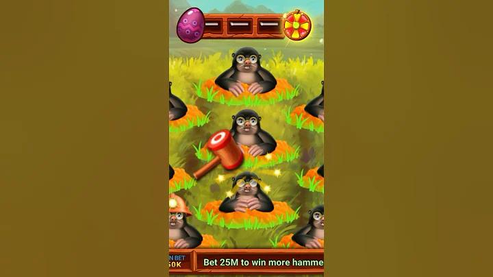 mostplay bet login