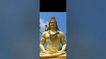 খেতে সুস্বাদু