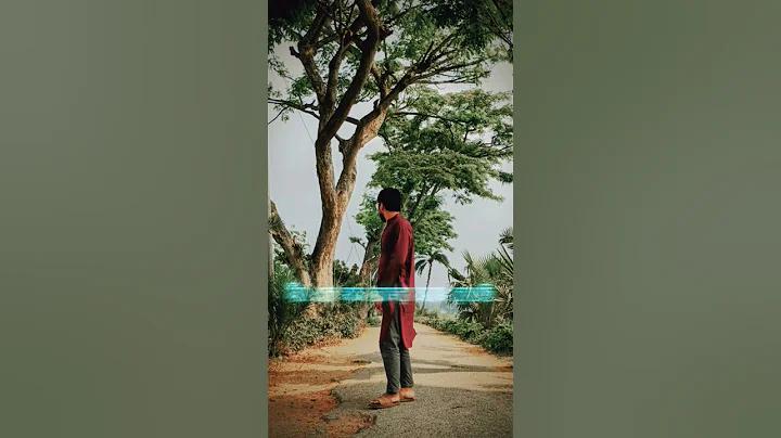 Crickex - বাংলাদেশের সেরা ক্রিকেট বাজি ও ক্যাসিনো প্লাটফর্ম