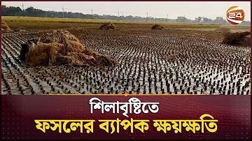 বাংলাদেশ বনাম জিমবাবু ক্রিকেট লাইভ