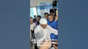মারুতি সুজুকি গাড়ি 7 সিটার