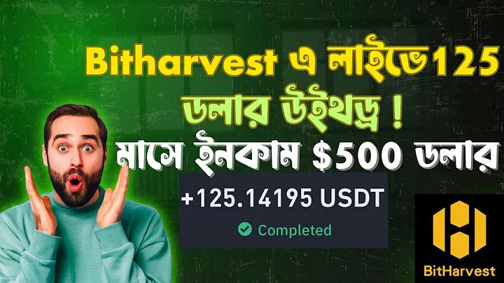 betfast 365.co.uk login